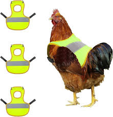 Reflective Chicken Vest